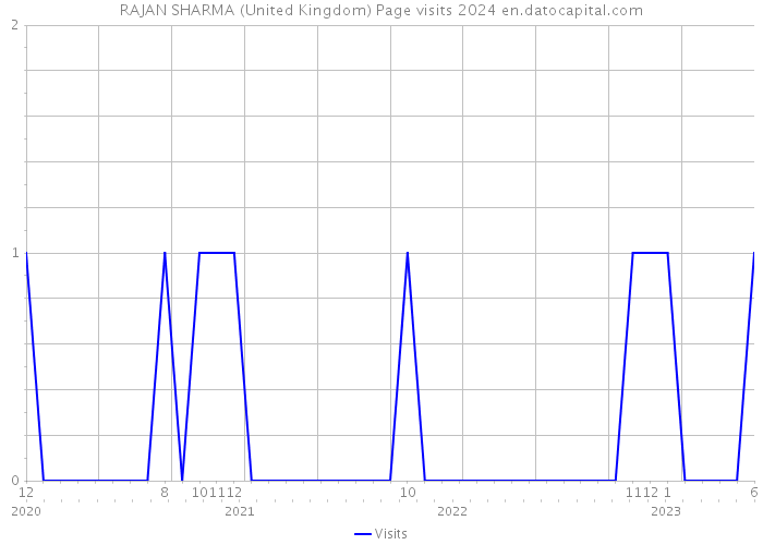 RAJAN SHARMA (United Kingdom) Page visits 2024 