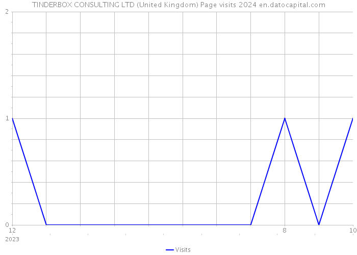 TINDERBOX CONSULTING LTD (United Kingdom) Page visits 2024 