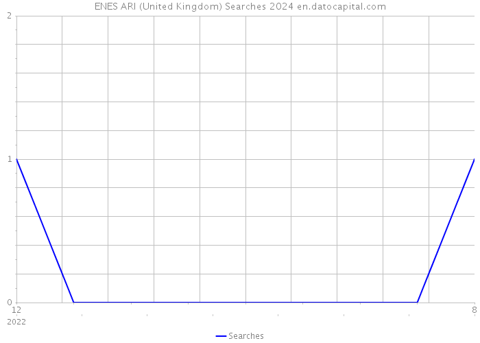 ENES ARI (United Kingdom) Searches 2024 