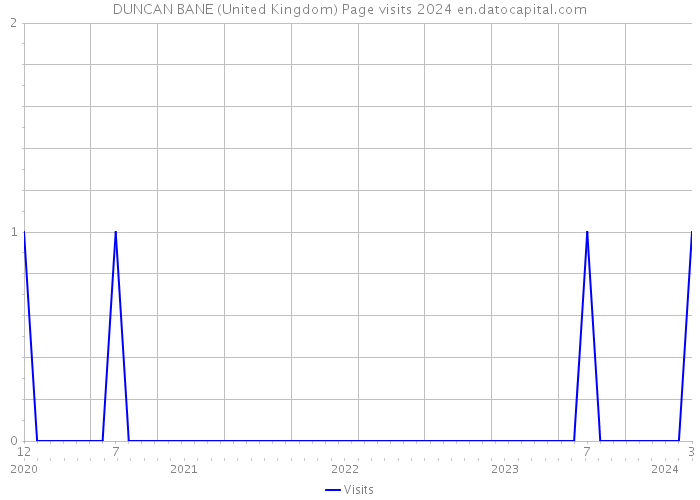 DUNCAN BANE (United Kingdom) Page visits 2024 