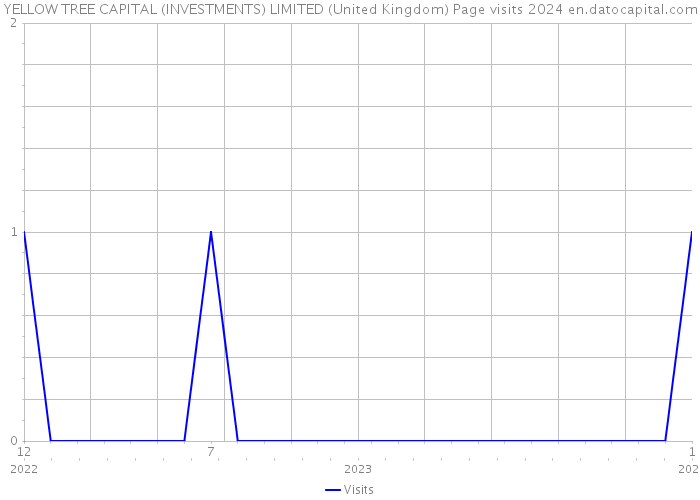 YELLOW TREE CAPITAL (INVESTMENTS) LIMITED (United Kingdom) Page visits 2024 