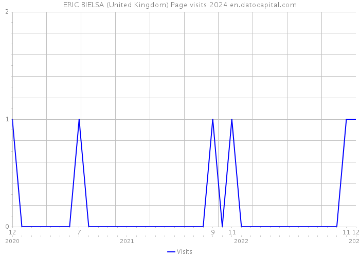 ERIC BIELSA (United Kingdom) Page visits 2024 
