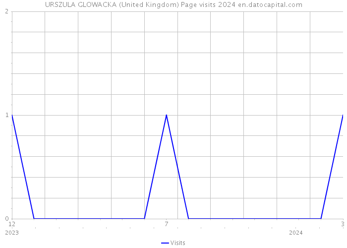 URSZULA GLOWACKA (United Kingdom) Page visits 2024 