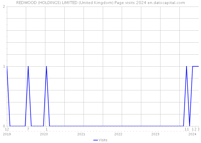REDWOOD (HOLDINGS) LIMITED (United Kingdom) Page visits 2024 