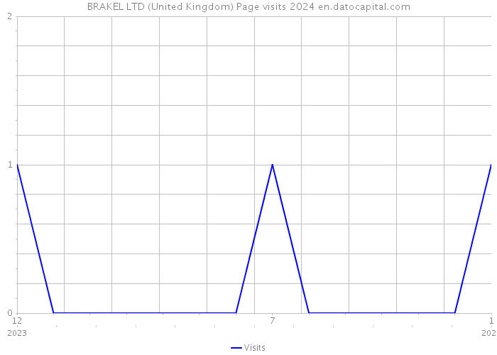 BRAKEL LTD (United Kingdom) Page visits 2024 