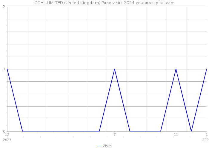GOHL LIMITED (United Kingdom) Page visits 2024 
