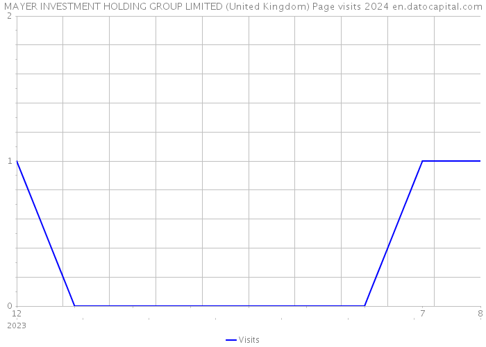 MAYER INVESTMENT HOLDING GROUP LIMITED (United Kingdom) Page visits 2024 