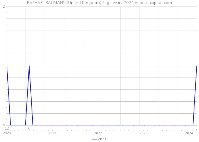 RAPHAEL BAUMANN (United Kingdom) Page visits 2024 