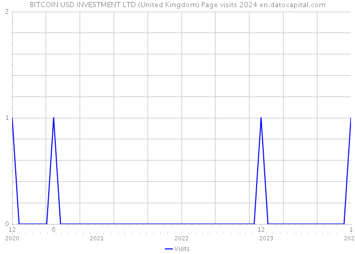 BITCOIN USD INVESTMENT LTD (United Kingdom) Page visits 2024 