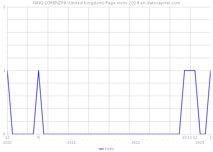 NINO LORENZINI (United Kingdom) Page visits 2024 