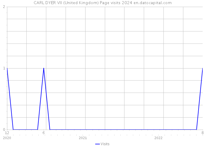 CARL DYER VII (United Kingdom) Page visits 2024 