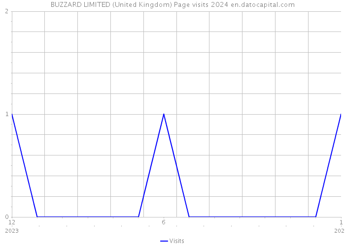BUZZARD LIMITED (United Kingdom) Page visits 2024 