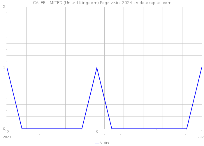 CALEB LIMITED (United Kingdom) Page visits 2024 
