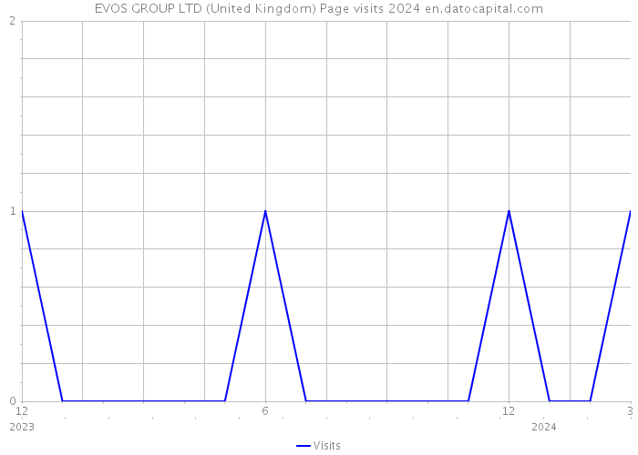 EVOS GROUP LTD (United Kingdom) Page visits 2024 