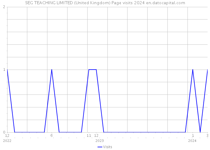 SEG TEACHING LIMITED (United Kingdom) Page visits 2024 