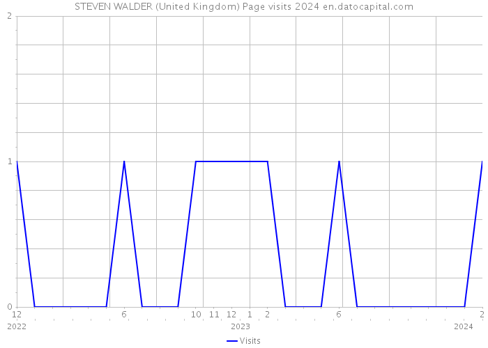 STEVEN WALDER (United Kingdom) Page visits 2024 