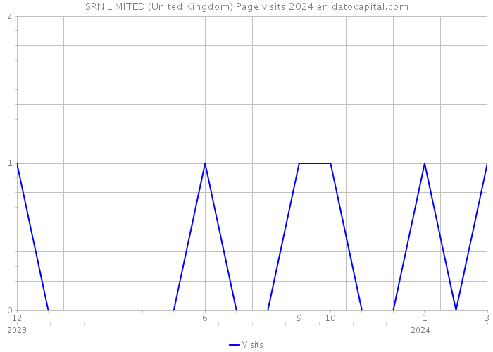 SRN LIMITED (United Kingdom) Page visits 2024 