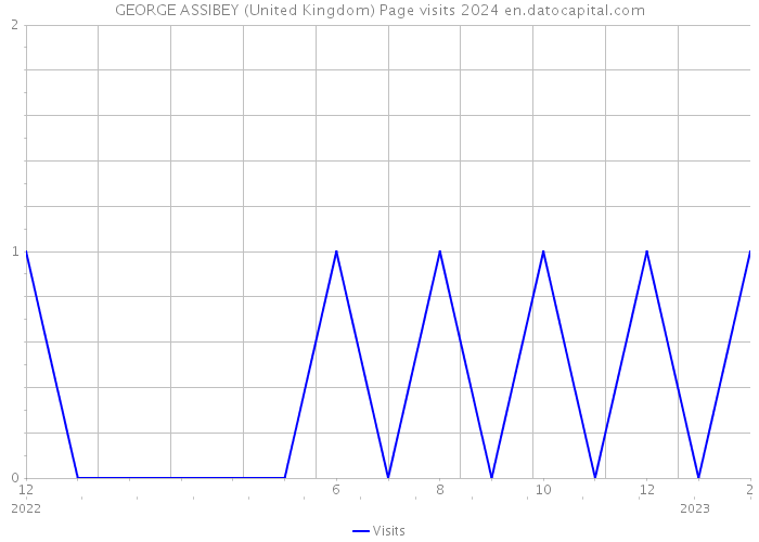GEORGE ASSIBEY (United Kingdom) Page visits 2024 