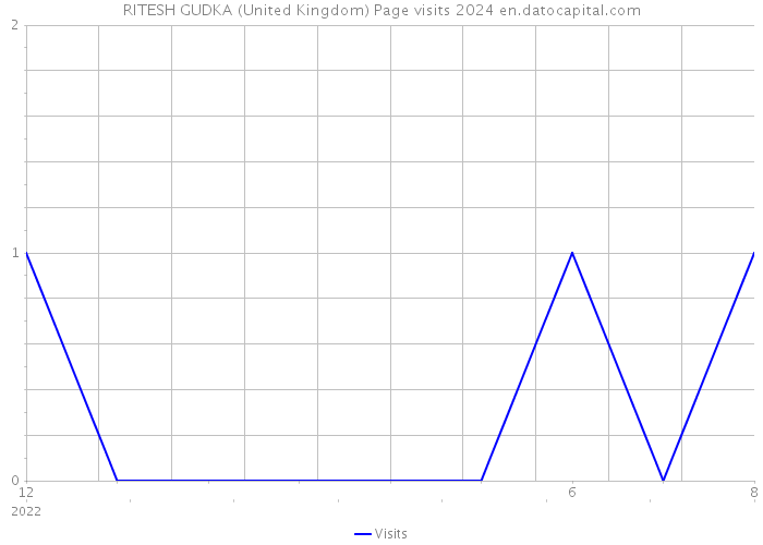 RITESH GUDKA (United Kingdom) Page visits 2024 
