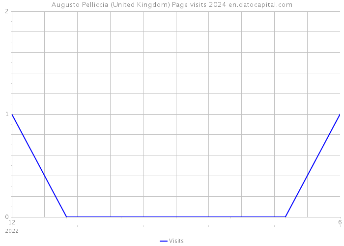 Augusto Pelliccia (United Kingdom) Page visits 2024 