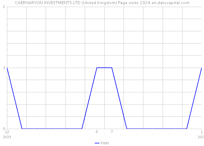 CAERNARVON INVESTMENTS LTD (United Kingdom) Page visits 2024 