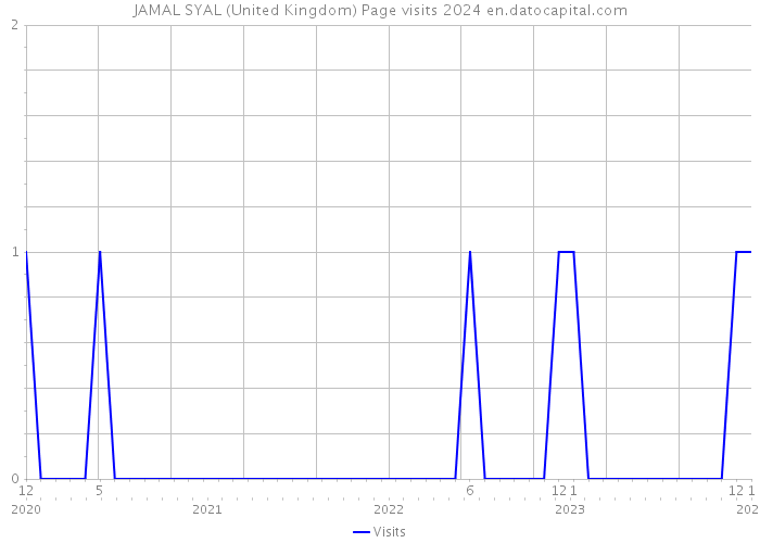 JAMAL SYAL (United Kingdom) Page visits 2024 