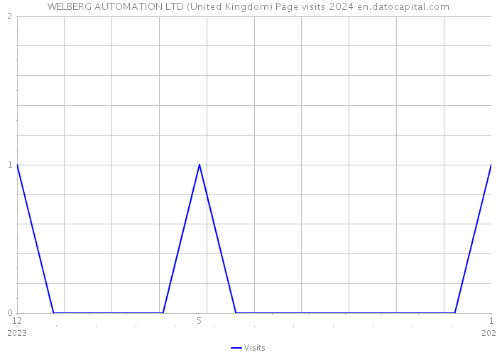 WELBERG AUTOMATION LTD (United Kingdom) Page visits 2024 