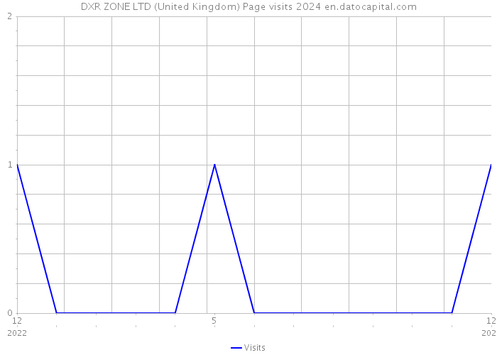 DXR ZONE LTD (United Kingdom) Page visits 2024 