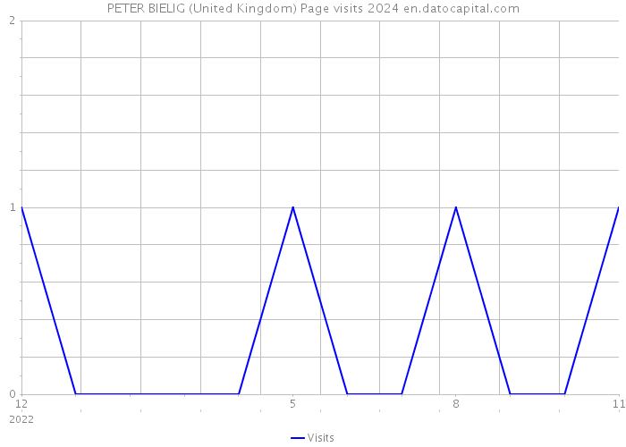 PETER BIELIG (United Kingdom) Page visits 2024 