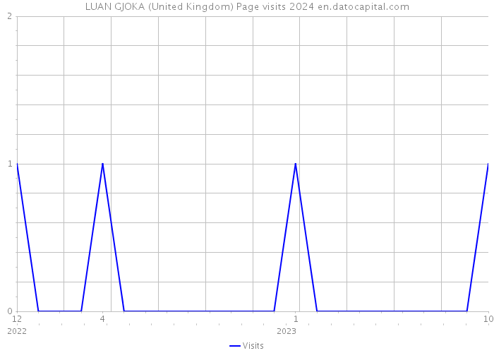LUAN GJOKA (United Kingdom) Page visits 2024 