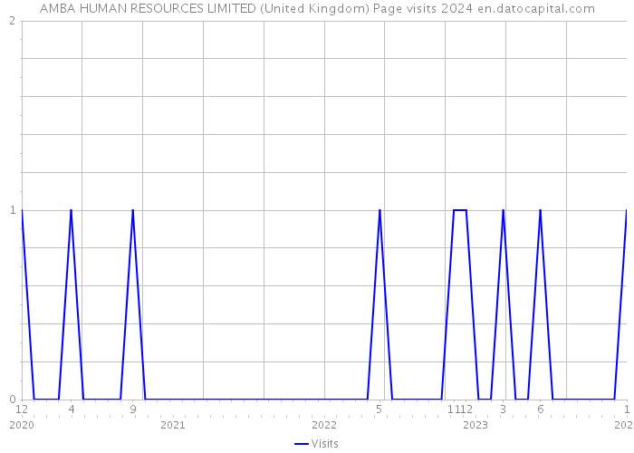 AMBA HUMAN RESOURCES LIMITED (United Kingdom) Page visits 2024 
