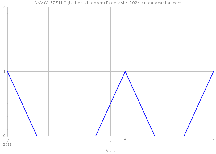 AAVYA FZE LLC (United Kingdom) Page visits 2024 