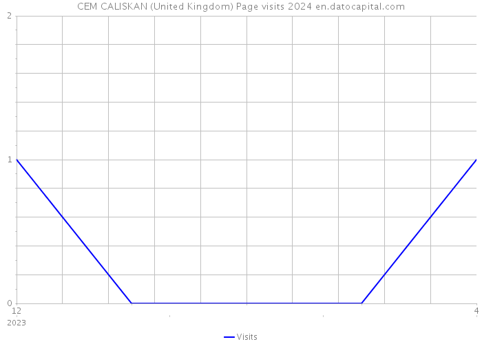 CEM CALISKAN (United Kingdom) Page visits 2024 