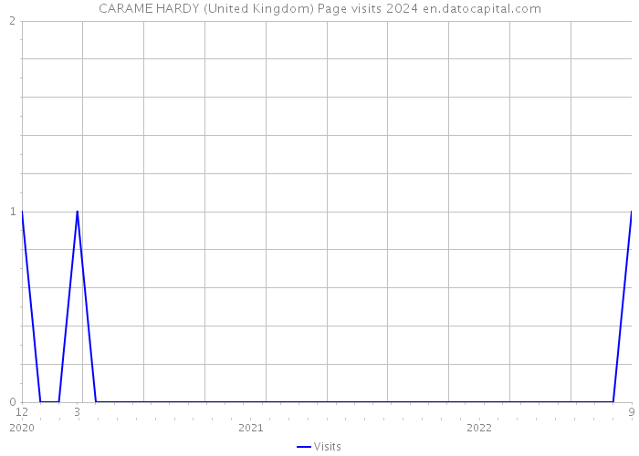 CARAME HARDY (United Kingdom) Page visits 2024 