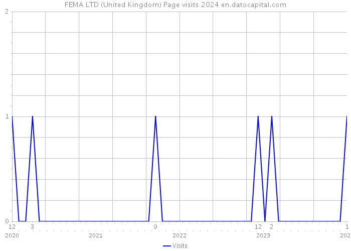 FEMA LTD (United Kingdom) Page visits 2024 