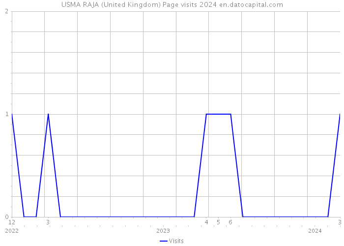 USMA RAJA (United Kingdom) Page visits 2024 