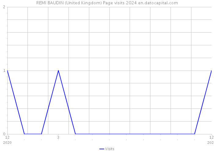 REMI BAUDIN (United Kingdom) Page visits 2024 
