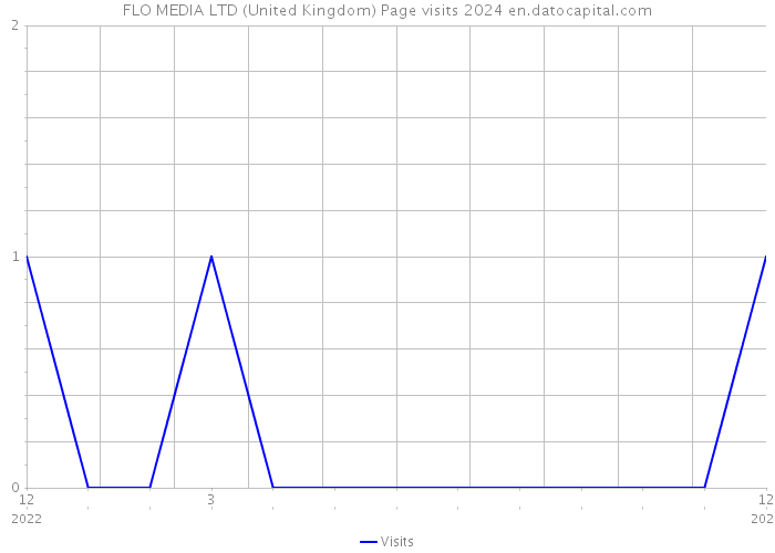 FLO MEDIA LTD (United Kingdom) Page visits 2024 