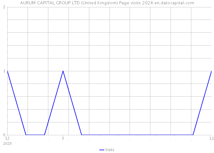 AURUM CAPITAL GROUP LTD (United Kingdom) Page visits 2024 