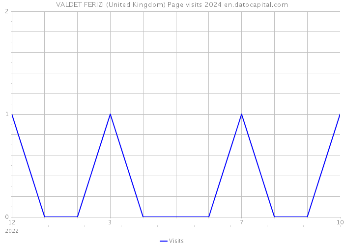 VALDET FERIZI (United Kingdom) Page visits 2024 