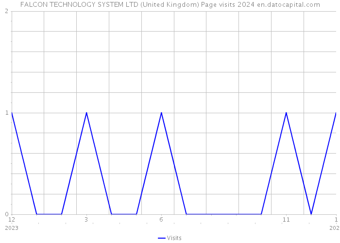 FALCON TECHNOLOGY SYSTEM LTD (United Kingdom) Page visits 2024 