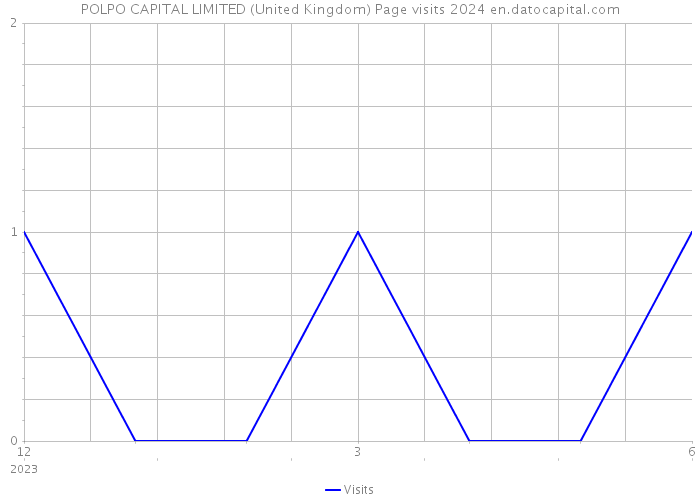 POLPO CAPITAL LIMITED (United Kingdom) Page visits 2024 