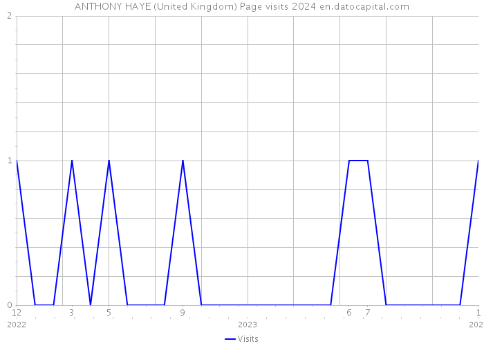ANTHONY HAYE (United Kingdom) Page visits 2024 