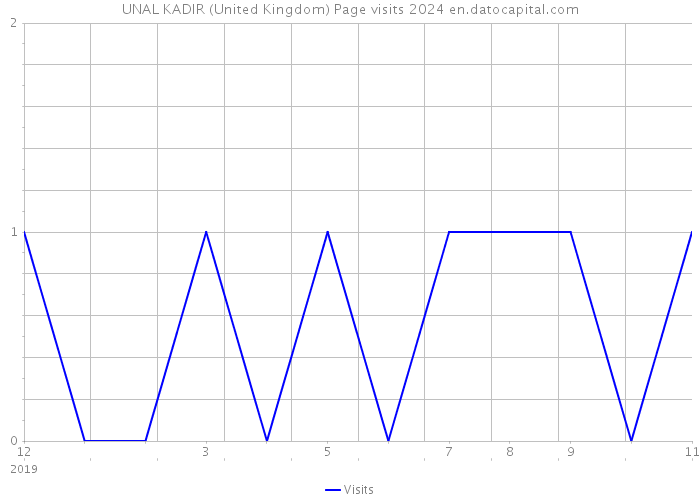 UNAL KADIR (United Kingdom) Page visits 2024 