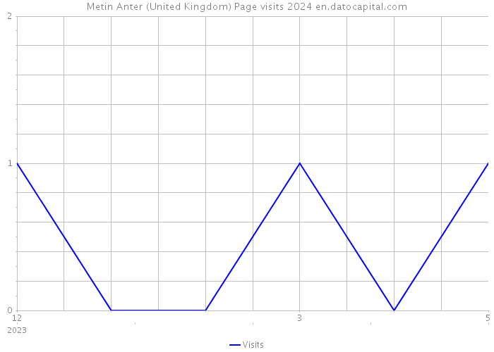 Metin Anter (United Kingdom) Page visits 2024 