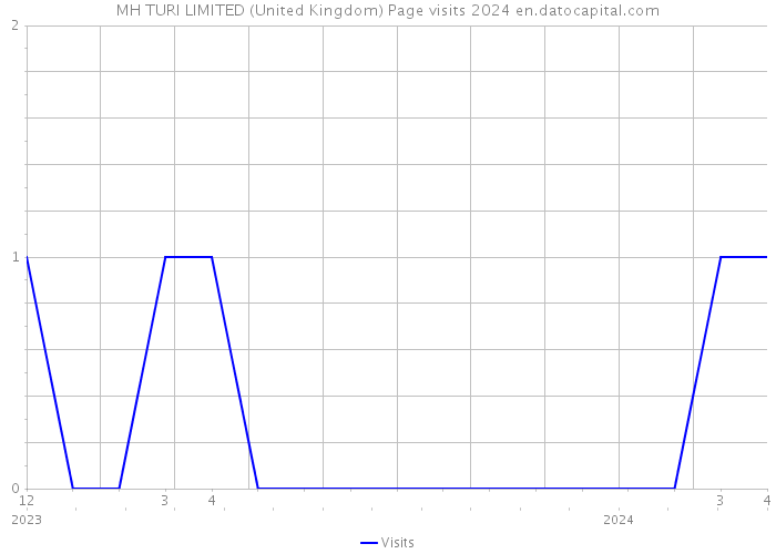 MH TURI LIMITED (United Kingdom) Page visits 2024 