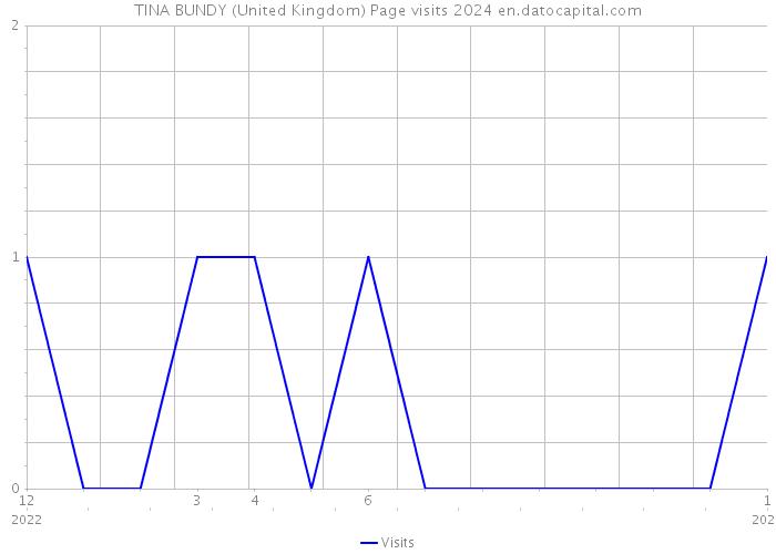 TINA BUNDY (United Kingdom) Page visits 2024 