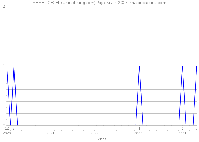 AHMET GECEL (United Kingdom) Page visits 2024 