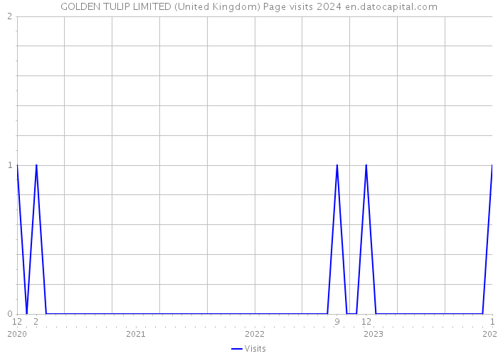 GOLDEN TULIP LIMITED (United Kingdom) Page visits 2024 