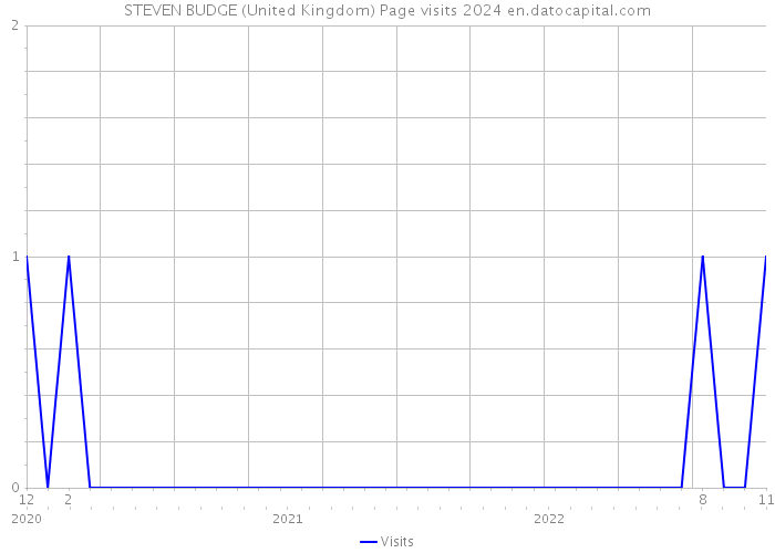 STEVEN BUDGE (United Kingdom) Page visits 2024 